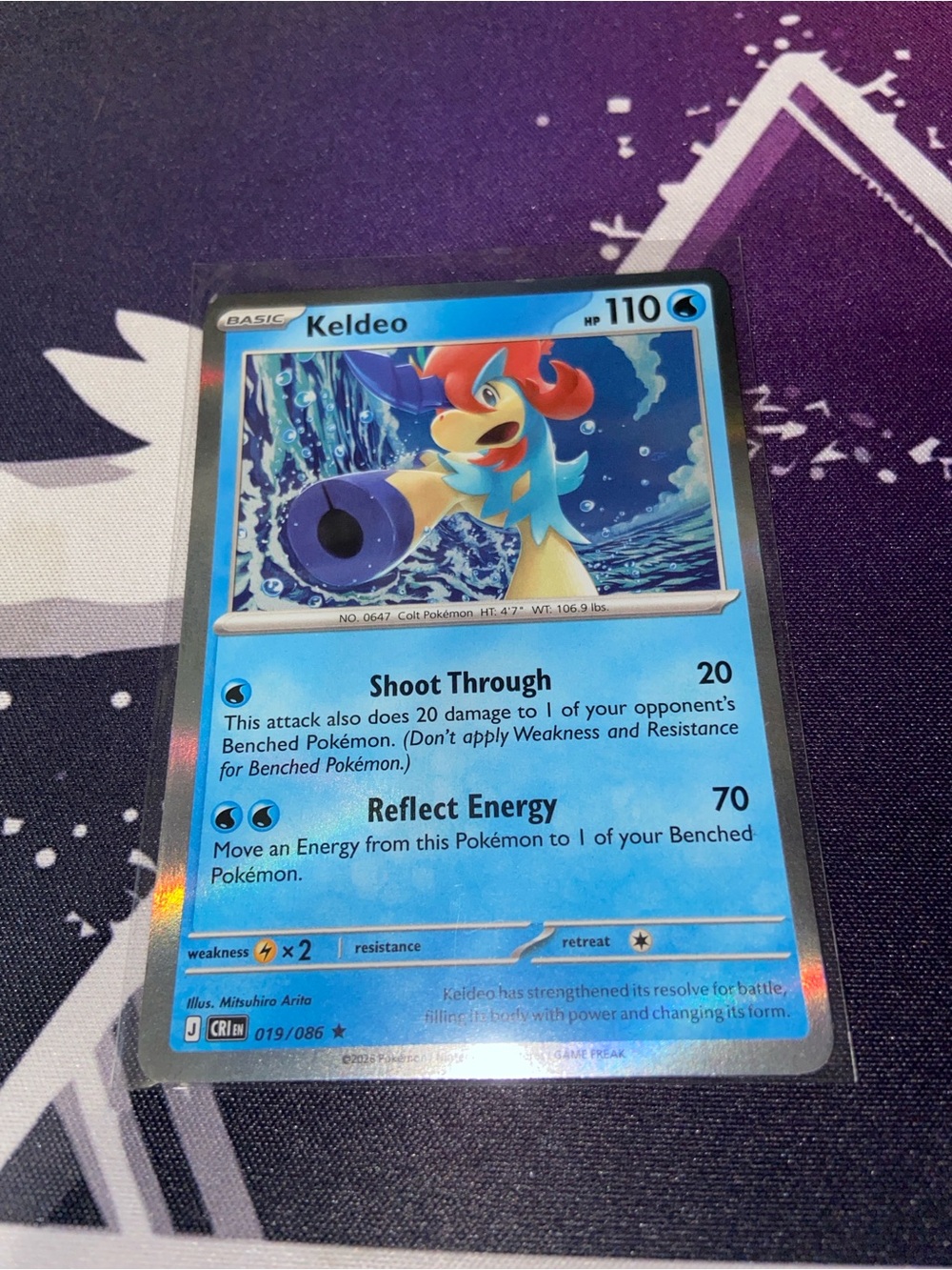 Holo Keldeo (019/086) Mega Evolution Chaos Rising